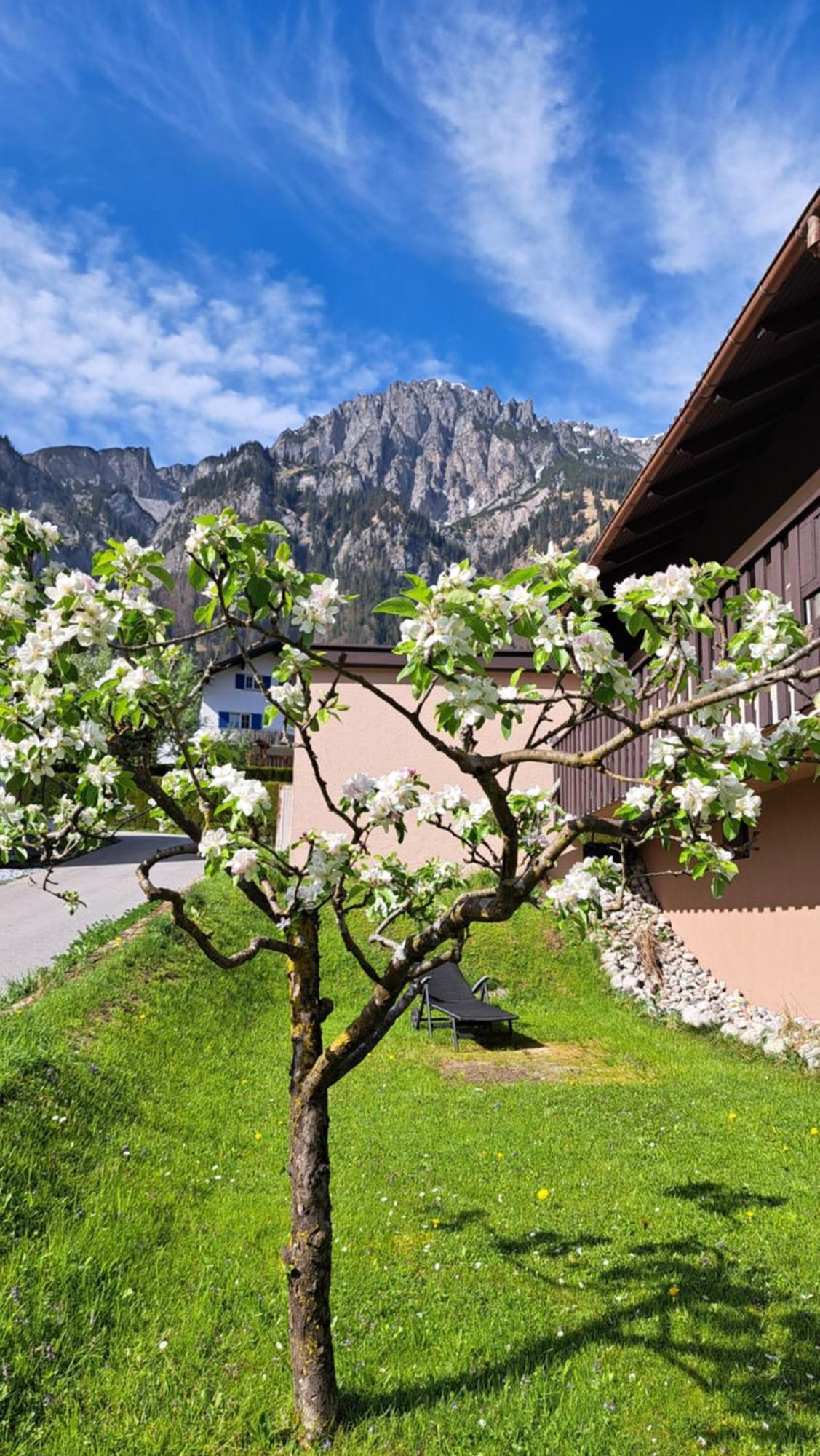 Baers Mountain Stay Ausserbraz Innerbraz Exterior foto